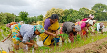 రైతులకు గిట్టుబాటు ధర కల్పించాలి
