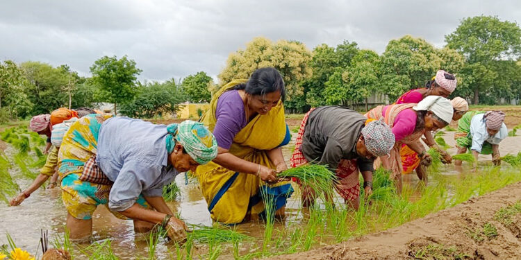 రైతులకు గిట్టుబాటు ధర కల్పించాలి
