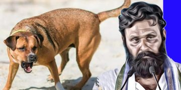 టచ్‌చేసి చూడు