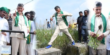 ఎన్నికలు ఎప్పుడొచ్చినా వైసిపి భూస్థాపితం ఖాయం