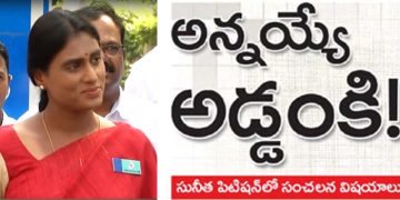 అఫిడవిట్‌లో చెప్పినవన్నీ నిజాలే : వైఎస్‌ షర్మిల