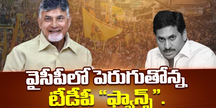 TDP Fans