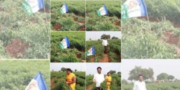 పల్నాడులో వైసీపీ ఫ్యాక్షన్‌ మూకల విధ్వంసం