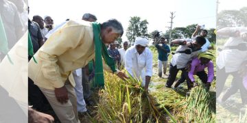 మానవ వైఫల్యం వల్లే రైతులకు తీవ్ర నష్టం