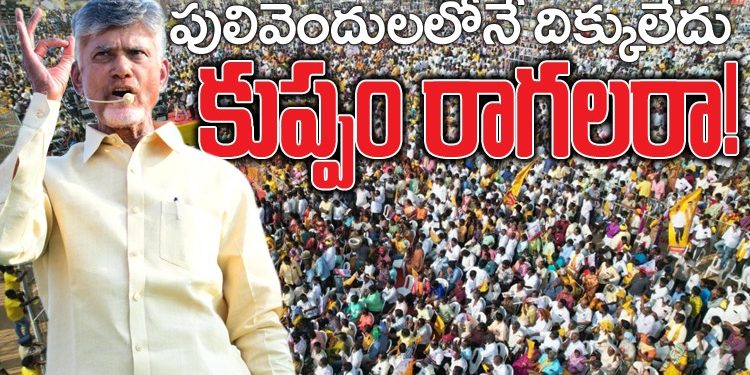 పులివెందులలోనే దిక్కులేదు కుప్పం రాగలరా!