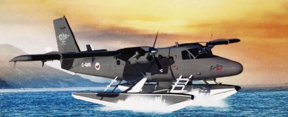 నీటిపై తేలుతూ.. గాలిలో ఎగురుతూ..!