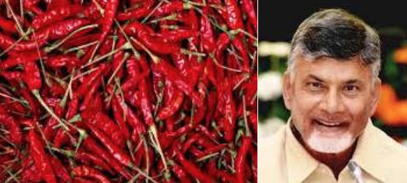 మిర్చి రైతుకు గుడ్న్యూస్