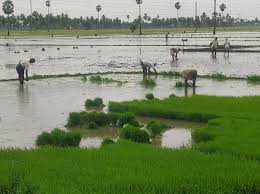 ఖరీఫ్.. కాస్త ముందుకు!