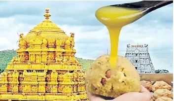 తిరుమల కల్తీ నెయ్యి దర్యాప్తులో సిట్ దూకుడు