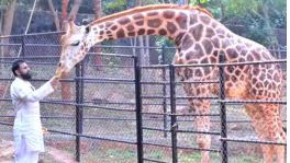 కల్తీనెయ్యిపై అసెంబ్లీలో చర్చిద్దాం