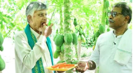 లింగంగుంటలో ప్రకృతి వ్యవసాయం