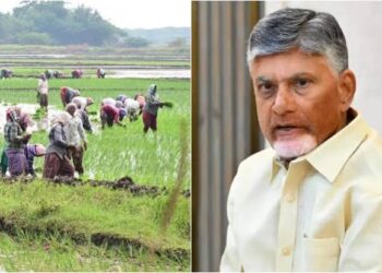 నేడు అన్నదాత సుఖీభవ నిధుల విడుదల